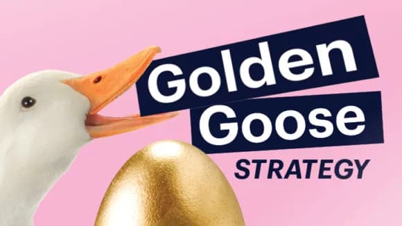 Golden Goose